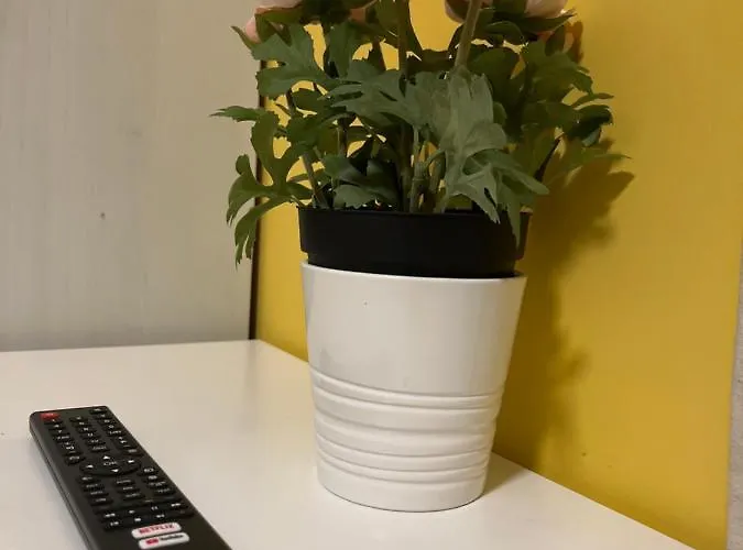 Bella - Ee * רומא